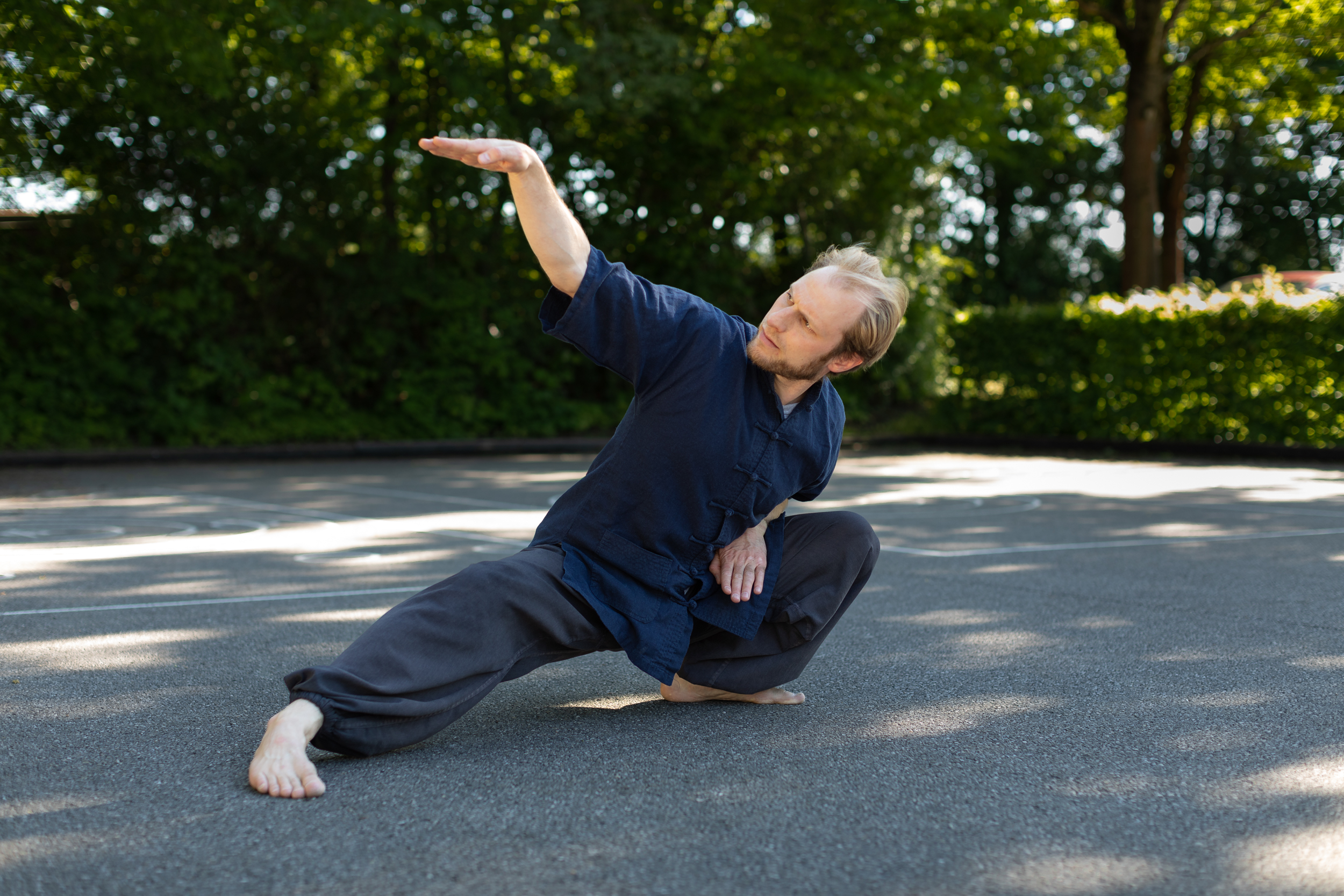 Kampfkunstschule Wunsch, Tai Chi, Schlange